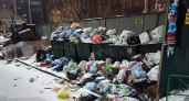 Прокуратура прокомментировала жалобы жителей Рязани на невывоз мусора «Эко-Пронском»