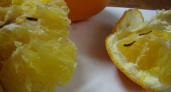 Рязанский Россельхознадзор высказался о наличии личинок в апельсинах