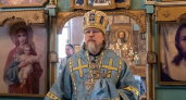 Рязанский митрополит Марк назвал причину крестить детей