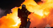 В Рязанской области потушили 5 пожаров за два дня
