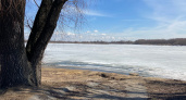 2 апреля в Рязанской области потеплеет до +23