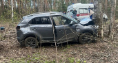 В Рязанской области водитель с сердечным приступом врезался в дерево и погиб