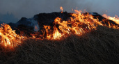 В Рязанской области произошел очередной лесной пожар
