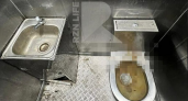 Жителей Рязани поразило состояние туалетов в Верхнем городском парке