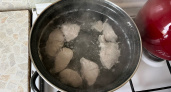 Кулинарный секрет раскрыт: в какую воду нужно класть мясо — в холодную или горячую?