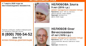 Рязанцев просят помочь в розыске девочки Златы 