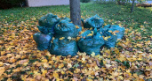 Сотрудники Рязанской НПК проводят субботники 