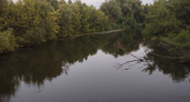 Рязанские водоемы попали в число самых рыбных мест страны