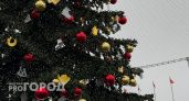 «Праздник для детей — вопросы для взрослых»: рязанцы обсуждают Губернаторские ёлки