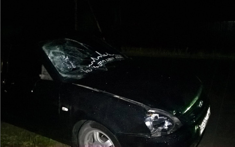 В селе Клетино Касимовского района водитель Lada Priora сбил двоих подростков