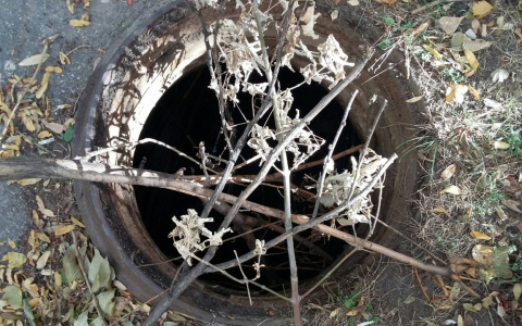 Открытый канализационный люк на улице Зубковой прикрыли ветками вместо крышки