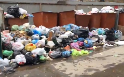 В Дашково-Песочне уже две недели не вывозят мусор