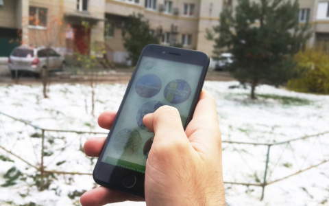 Экологический Рязанский Альянс представил свое мобильное приложение. Разбираемся, зачем оно вообще нужно