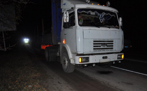 В Касимовском районе водитель МАЗа сбил женщину: пострадавшая погибла на месте