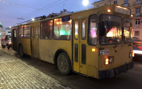 Рязанский маршрутчик догнал уходящий вдаль троллейбус после мелкого ДТП