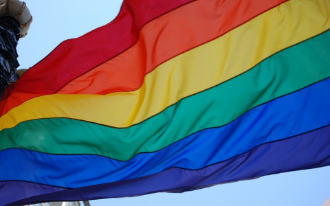 Продолжение радужного скандала: на власти Скопина подали в суд из-за запрета гей-парада