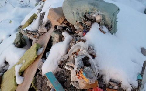 Семчино - городская свалка мусора и снега?