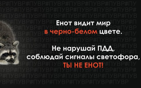 "Подслушано у водителей в Рязани" призывают к осторожности на дороге