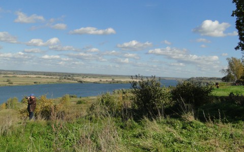 В Оку отпустили несколько тысяч молодых стерлядей