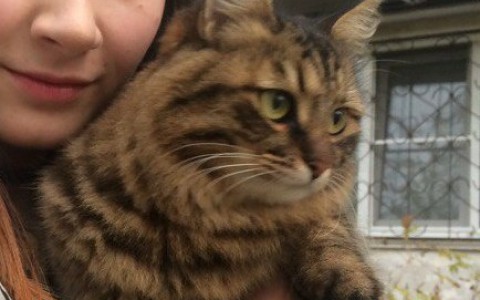 На подозреваемую в живодерстве завели уголовное дело