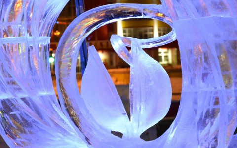 Рязанцы покажут "Космический танец Шивы" на Всероссийском конкурсе ледовых скульптур