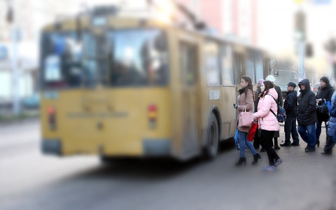 Авторская колонка: «Хочется, чтобы общественный транспорт процветал в Рязани»