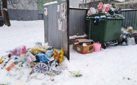 Рязанские власти не могут решить, сколько людям платить за мусор