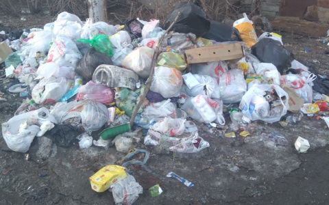 «Около дома сформировалась помойка»: рязанцы жалуются на стихийную свалку мусора у себя во дворе
