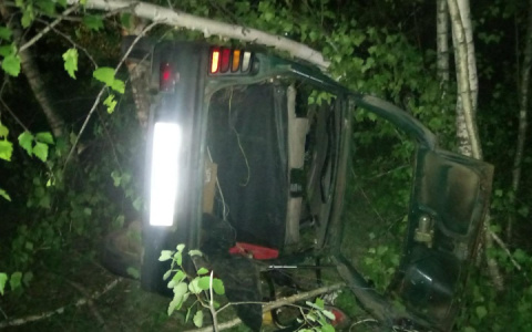 Пьяный рязанец на автомобиле вылетел в кювет и врезался в дерево