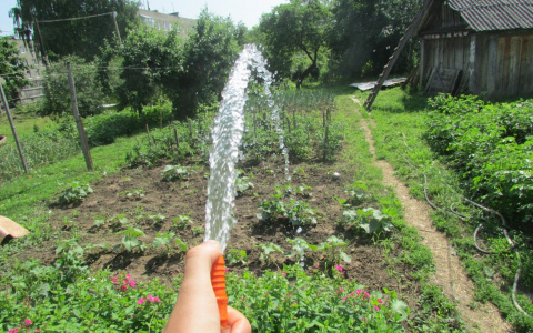«Вода у нас теперь по графику»: в посёлке Варские из-за поливов начались перебои с водоснабжением