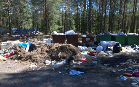 Рязанская область находится в числе регионов-аутсайдеров по мусорной реформе