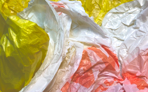 Жизнь без пластиковых пакетов. Реально ли это в Рязани?