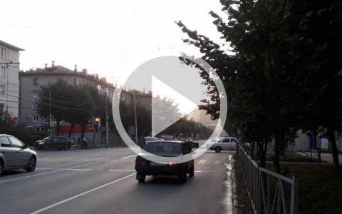 Безопасность под вопросом: на улице Дзержинского светофор не видно из-за дерева