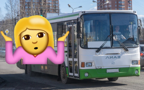 «Где 20-е автобусы?»: горожане жалуются на проблемы с транспортом