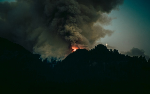 Возбуждено уголовное дело из-за лесных пожаров в Сельцах