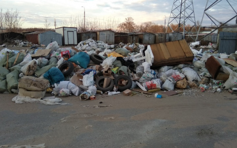 В 2023 году в Рязанской области построят Технопарк по переработке отходов