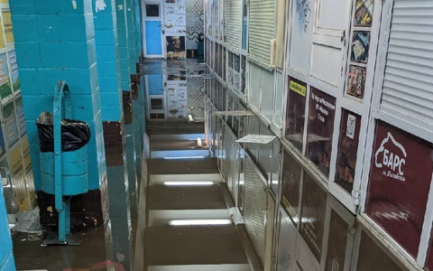 Воды по колено - поземный переход у "Барса" затоплен