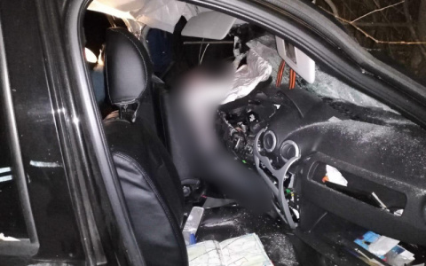 Смертельное ДТП в Рязанской области: водитель "Рено" врезался в дерево
