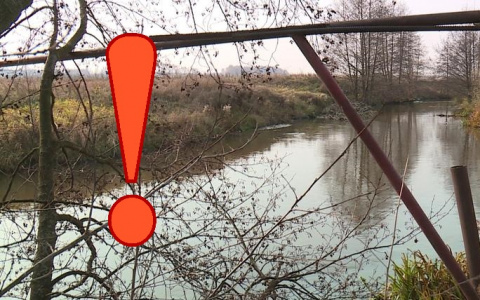 Листвянка под ударом: рязанцы пожаловались на загрязнение реки