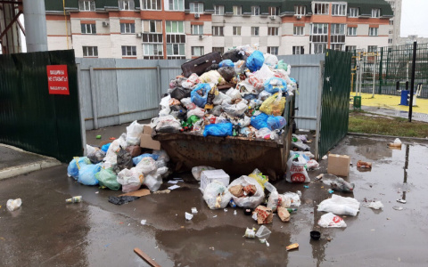 Крысы и антисанитария: рязанцы продолжают жаловаться на огромные кучи мусора