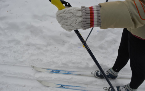 Зимой в Рязани будут работать 5 лыжных трасс