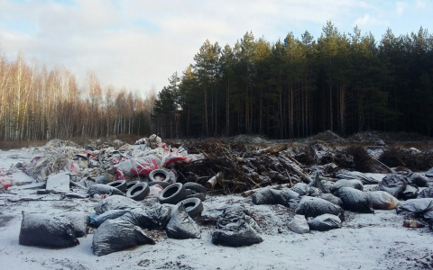 Рязанец заснял огромную свалку мусора в лесу в Солотче