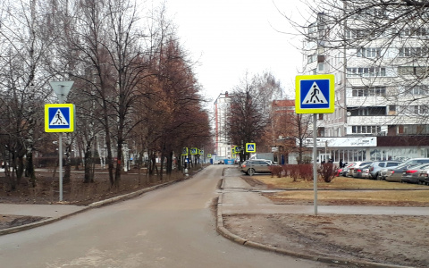 В Дашково-Песочне улицу усеяли знаками "пешеходный переход"