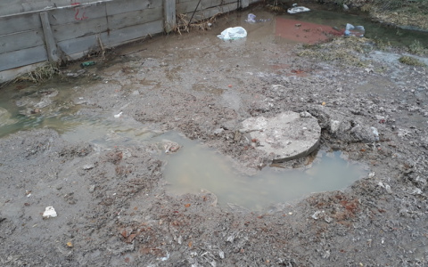 "Отходы стекают вниз по дороге" - на улице Новоселов около месяца неисправна канализация