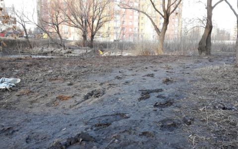 Рязанцы жалуются: "Черезовские пруды утопают в грязи"