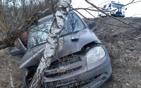 Под Рязанью автомобиль вылетел в кювет и врезался в дерево