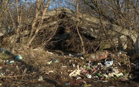 Село под Рязанью завалено мусором. Власти предлагают людям взять в руки лопаты