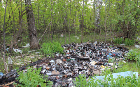 Снова "Дикая утка": окрестности озера завалили строительным мусором