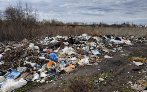 Еще одна куча мусора: в Дягилеве нашли очередную стихийную свалку