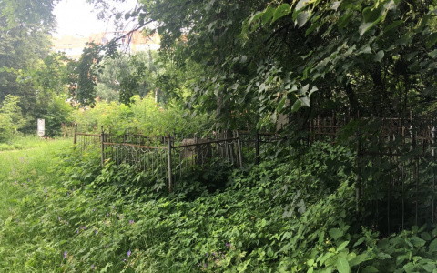 Лазаревское кладбище: жители просят провести территорию в порядок